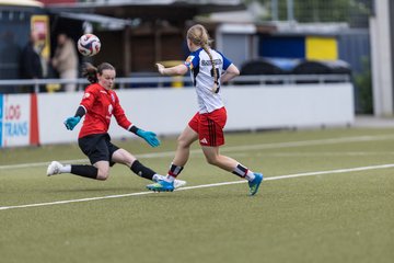 Bild 249 - wBJ Hamburger SV - FC Suederelbe : Ergebnis: 9:0